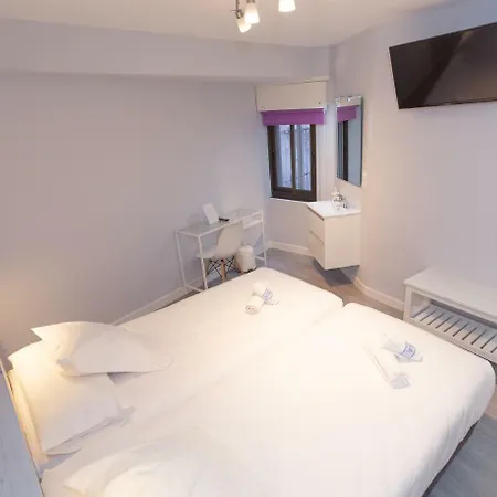 Viena 게스트하우스